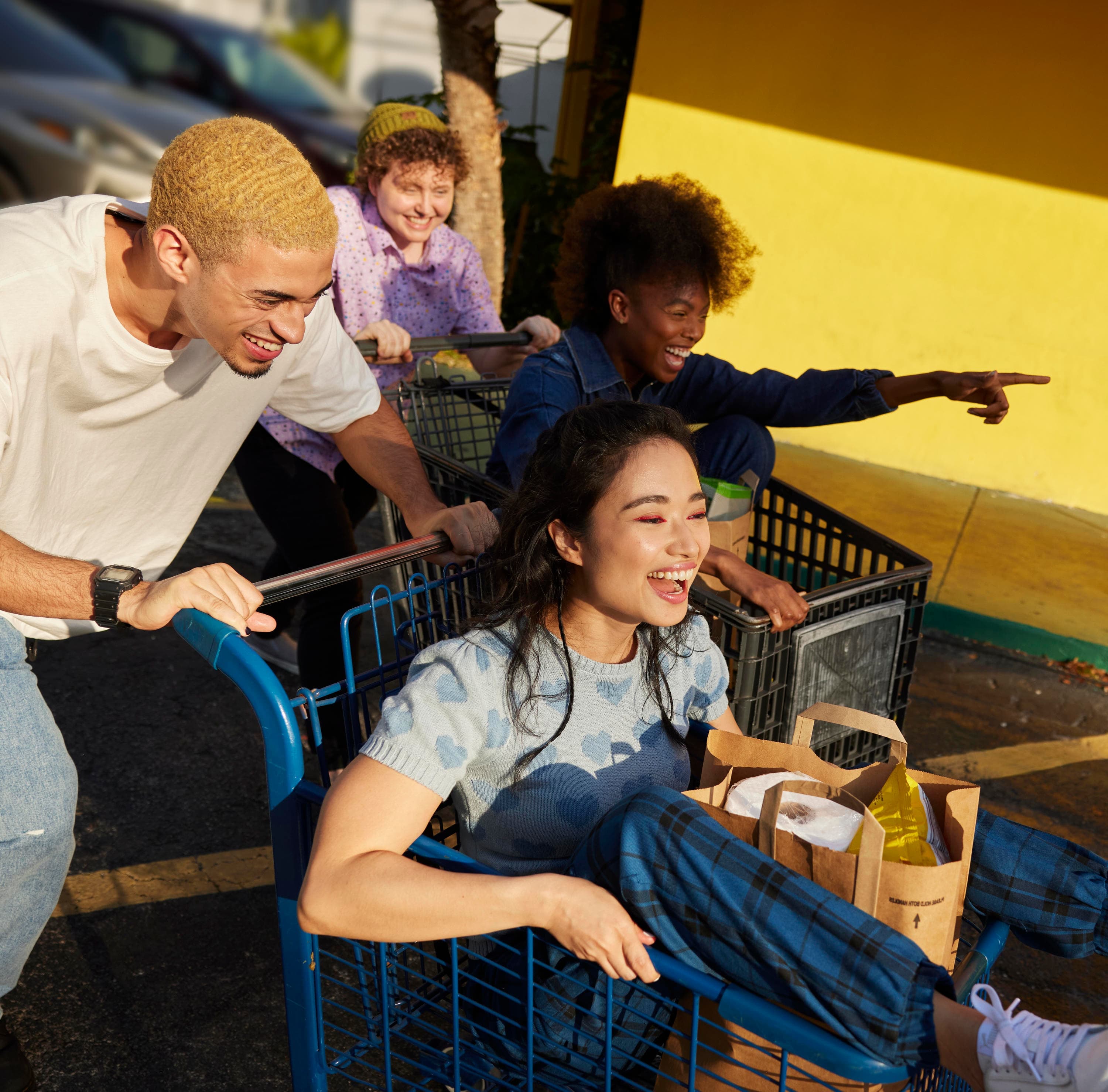shopping-cart-group